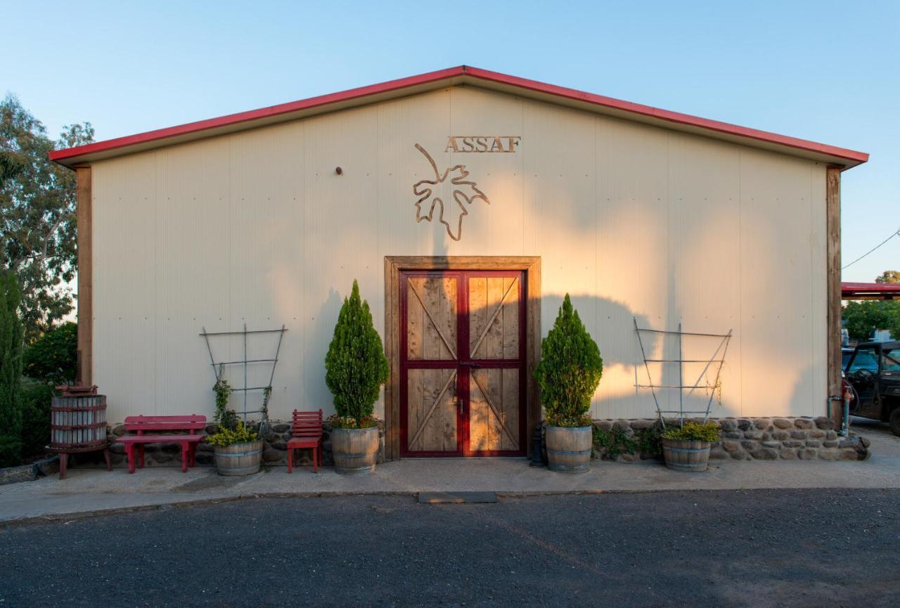 Assaf Boutique Winery & Cabins Kidmat Tsvi Exterior photo